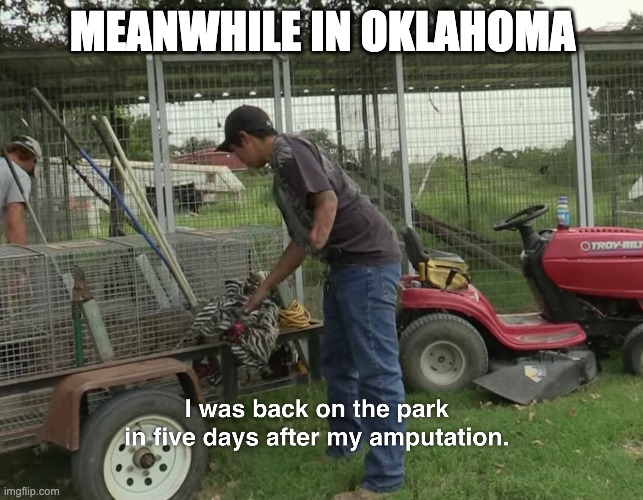 meanwhile in oklahoma | MEANWHILE IN OKLAHOMA | image tagged in tiger king,memes | made w/ Imgflip meme maker