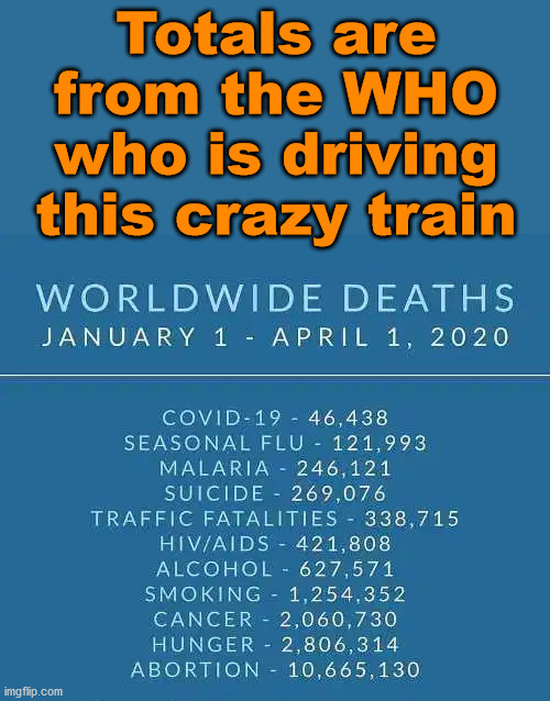 Destroying lives, jobs and trust over what? They have an out by saying it would have been worse if they did not do anything. | Totals are from the WHO who is driving this crazy train | image tagged in corona virus | made w/ Imgflip meme maker