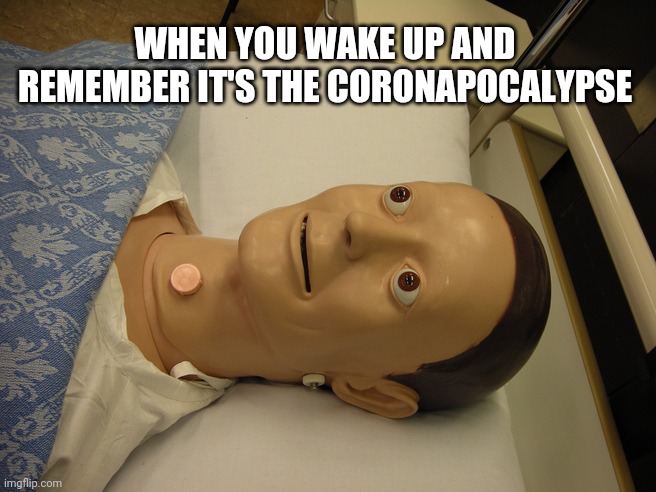 Medical dummy | WHEN YOU WAKE UP AND REMEMBER IT'S THE CORONAPOCALYPSE | image tagged in medical dummy | made w/ Imgflip meme maker
