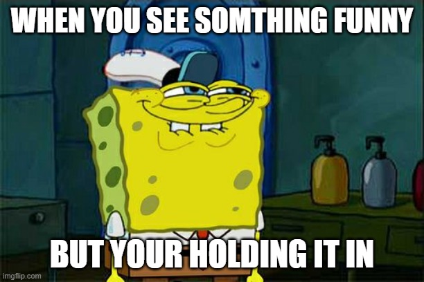 Don't You Squidward | WHEN YOU SEE SOMTHING FUNNY; BUT YOUR HOLDING IT IN | image tagged in memes,don't you squidward | made w/ Imgflip meme maker