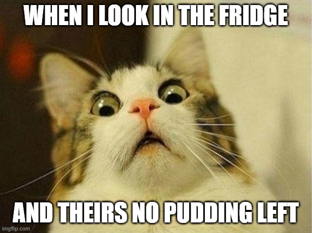 Scared Cat | WHEN I LOOK IN THE FRIDGE; AND THEIRS NO PUDDING LEFT | image tagged in memes,scared cat | made w/ Imgflip meme maker