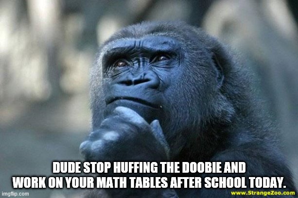 Deep Thoughts | DUDE STOP HUFFING THE DOOBIE AND WORK ON YOUR MATH TABLES AFTER SCHOOL TODAY. | image tagged in deep thoughts | made w/ Imgflip meme maker