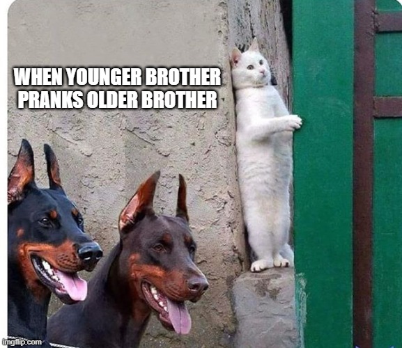 Hidden cat |  WHEN YOUNGER BROTHER PRANKS OLDER BROTHER | image tagged in hidden cat | made w/ Imgflip meme maker