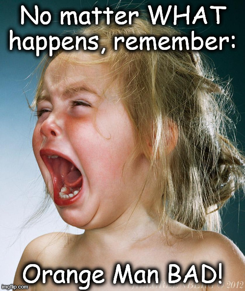 baby crying | No matter WHAT happens, remember:; Orange Man BAD! | image tagged in baby crying | made w/ Imgflip meme maker