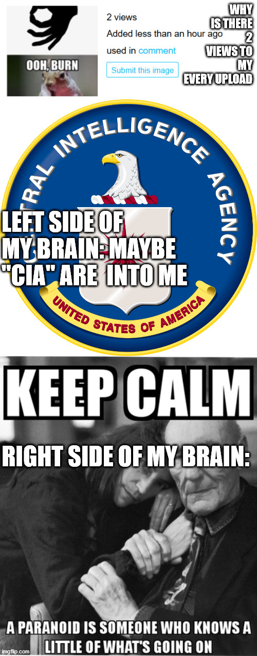 I'm going crazy | WHY IS THERE  2 VIEWS TO MY EVERY UPLOAD; LEFT SIDE OF MY BRAIN: MAYBE "CIA" ARE  INTO ME; RIGHT SIDE OF MY BRAIN: | image tagged in craziness_all_the_way,loco | made w/ Imgflip meme maker