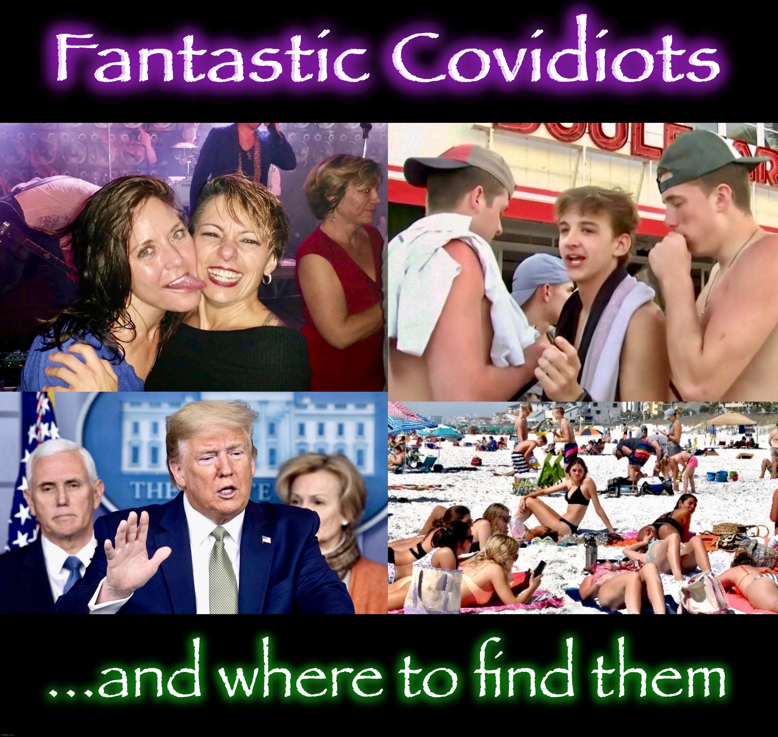 Book One in the Covidiot Series | Fantastic Covidiots; ...and where to find them | image tagged in covid-19,memes,covidiots,coronavirus,trump,stupid people | made w/ Imgflip meme maker
