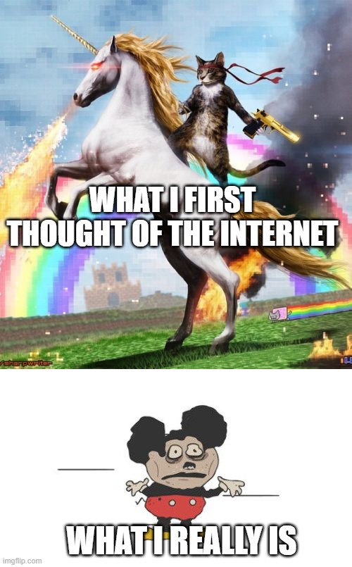 WHAT I FIRST THOUGHT OF THE INTERNET; WHAT I REALLY IS | image tagged in memes,welcome to the internets,dead mokey | made w/ Imgflip meme maker