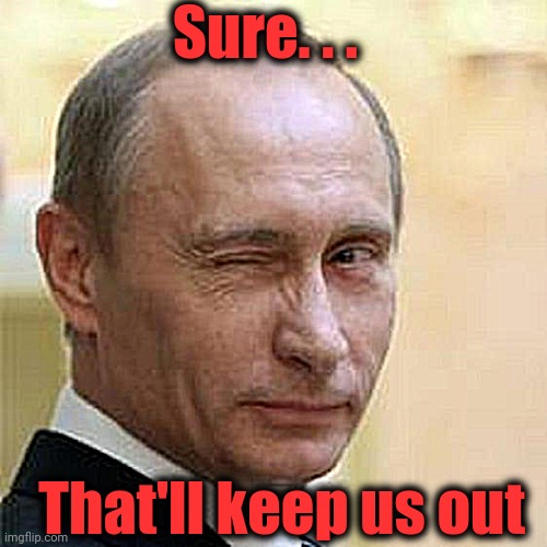 Putin Winking | Sure. . . That'll keep us out | image tagged in putin winking | made w/ Imgflip meme maker