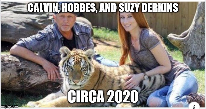 Calvin Hobbes and Suzy Derkins circa 2020 | CALVIN, HOBBES, AND SUZY DERKINS; CIRCA 2020 | image tagged in calvin and hobbes | made w/ Imgflip meme maker