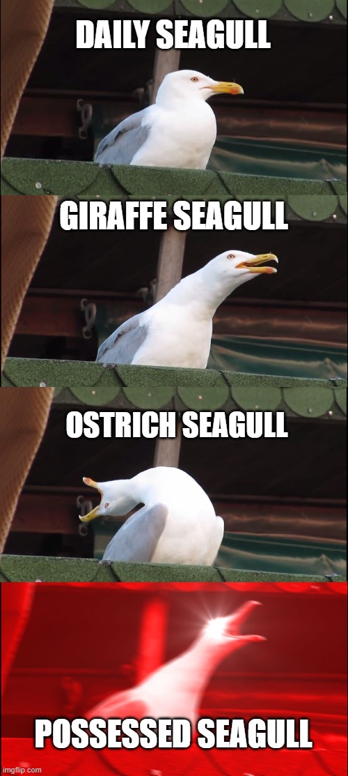 Inhaling Seagull Meme | DAILY SEAGULL; GIRAFFE SEAGULL; OSTRICH SEAGULL; POSSESSED SEAGULL | image tagged in memes,inhaling seagull | made w/ Imgflip meme maker