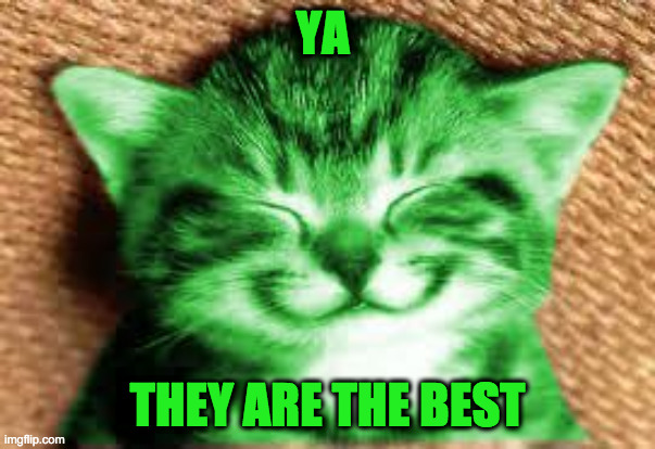 happy RayCat | YA THEY ARE THE BEST | image tagged in happy raycat | made w/ Imgflip meme maker