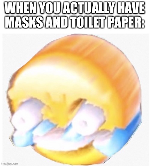 WHEN YOU ACTUALLY HAVE MASKS AND TOILET PAPER: | made w/ Imgflip meme maker