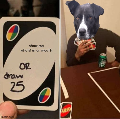 UNO Draw 25 Cards | show me whats in ur mouth | image tagged in memes,uno draw 25 cards | made w/ Imgflip meme maker