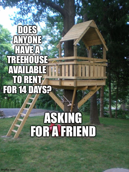 Tree House | DOES ANYONE HAVE A TREEHOUSE AVAILABLE TO RENT FOR 14 DAYS? ASKING FOR A FRIEND | image tagged in tree house | made w/ Imgflip meme maker