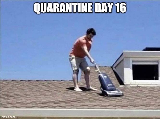 Quarantine Day 16 | QUARANTINE DAY 16 | image tagged in vacuum,roof,cleaning,quarantine,2020 | made w/ Imgflip meme maker