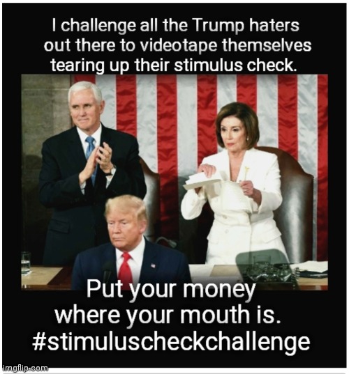 Stimulus check challenge | image tagged in political meme,show me the money,liberal tears,check,not my president,upvote | made w/ Imgflip meme maker