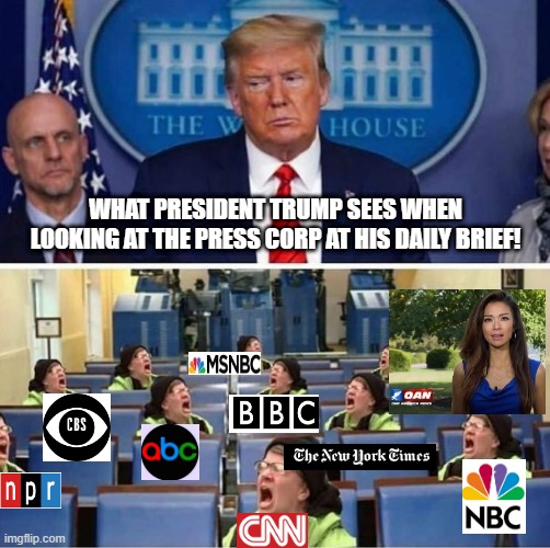 What President Trump Sees Looking At The Press Corp At His Daily Briefs. | WHAT PRESIDENT TRUMP SEES WHEN LOOKING AT THE PRESS CORP AT HIS DAILY BRIEF! | image tagged in fake news,trump | made w/ Imgflip meme maker