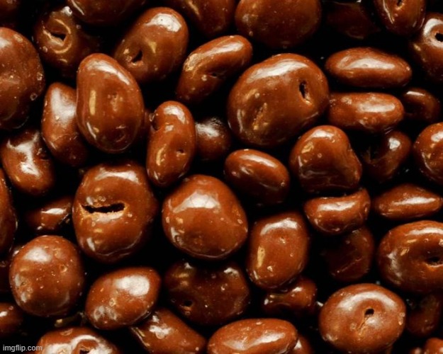 Chocolate Raisins | made w/ Imgflip meme maker