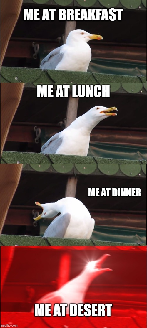 my day | ME AT BREAKFAST; ME AT LUNCH; ME AT DINNER; ME AT DESERT | image tagged in memes,inhaling seagull | made w/ Imgflip meme maker