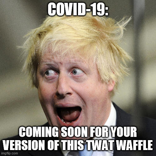 Boris Johnson | COVID-19: COMING SOON FOR YOUR VERSION OF THIS TWAT WAFFLE | image tagged in boris johnson | made w/ Imgflip meme maker