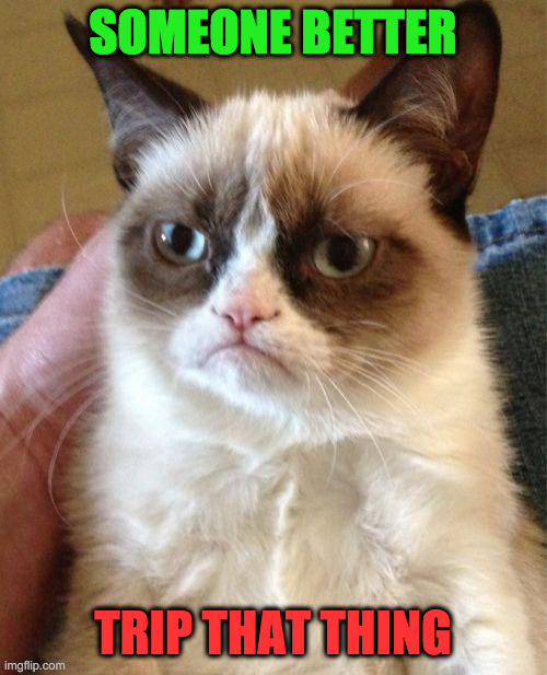 Grumpy Cat Meme | SOMEONE BETTER TRIP THAT THING | image tagged in memes,grumpy cat | made w/ Imgflip meme maker