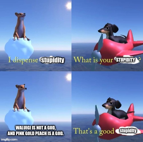 Wisdom dog | stupidity; STUPIDITY; WALUIGI IS NOT A GOD, AND PINK GOLD PEACH IS A GOD. stupidity | image tagged in wisdom dog | made w/ Imgflip meme maker