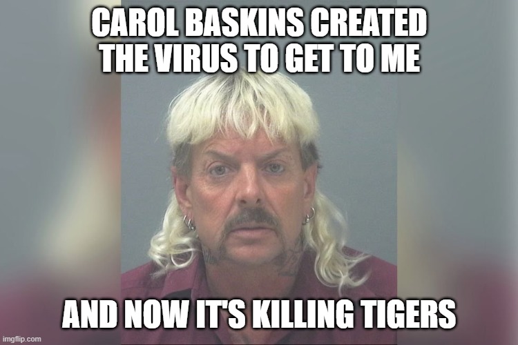Joe Exotic | CAROL BASKINS CREATED THE VIRUS TO GET TO ME; AND NOW IT'S KILLING TIGERS | image tagged in joe exotic | made w/ Imgflip meme maker