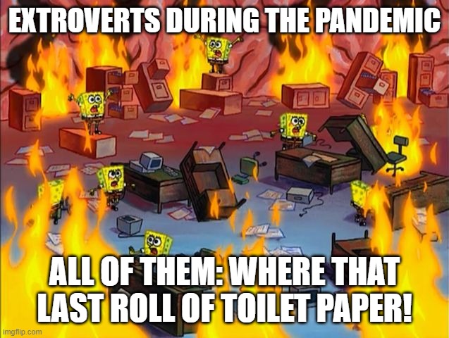 spongebob fire | EXTROVERTS DURING THE PANDEMIC; ALL OF THEM: WHERE THAT LAST ROLL OF TOILET PAPER! | image tagged in spongebob fire,virus,toilet paper,test to check if i can add a tag to your meme | made w/ Imgflip meme maker