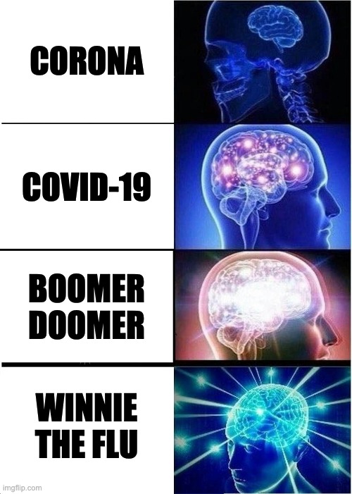 Expanding Brain |  CORONA; COVID-19; BOOMER DOOMER; WINNIE THE FLU | image tagged in memes,expanding brain | made w/ Imgflip meme maker