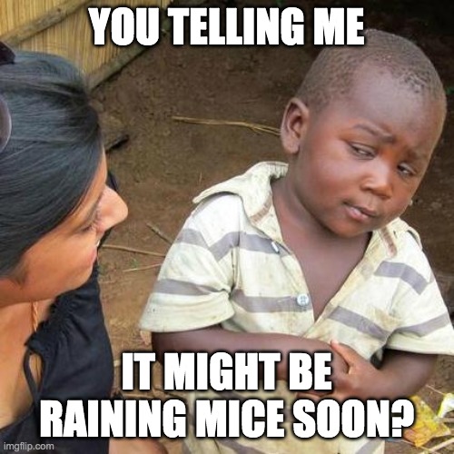 Third World Skeptical Kid Meme | YOU TELLING ME IT MIGHT BE RAINING MICE SOON? | image tagged in memes,third world skeptical kid | made w/ Imgflip meme maker