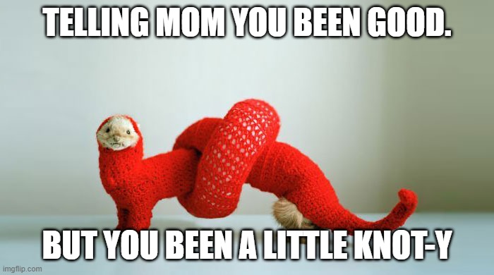 naughty or nice | TELLING MOM YOU BEEN GOOD. BUT YOU BEEN A LITTLE KNOT-Y | image tagged in ferret | made w/ Imgflip meme maker