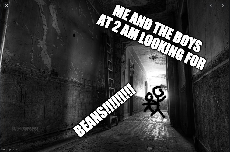 Beans!! | ME AND THE BOYS AT 2 AM LOOKING FOR; BEANS!!!!!!!!! | image tagged in beans | made w/ Imgflip meme maker