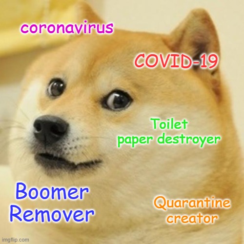 Doge Meme | coronavirus; COVID-19; Toilet paper destroyer; Boomer Remover; Quarantine creator | image tagged in memes,doge | made w/ Imgflip meme maker