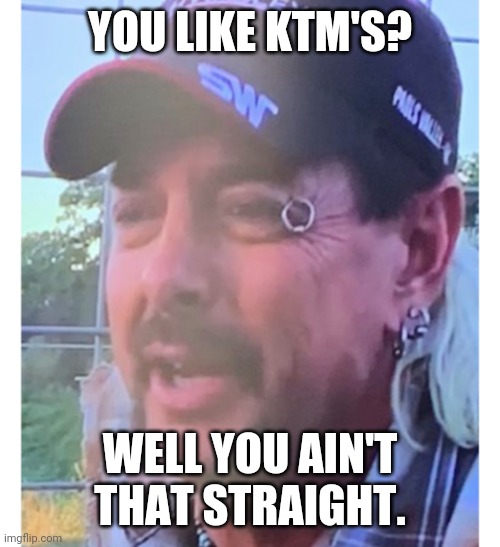 Tiger king eyebrow ring | YOU LIKE KTM'S? WELL YOU AIN'T THAT STRAIGHT. | image tagged in tiger king eyebrow ring | made w/ Imgflip meme maker