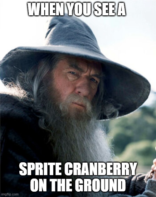 WHEN YOU SEE A; SPRITE CRANBERRY ON THE GROUND | image tagged in lord of the rings | made w/ Imgflip meme maker