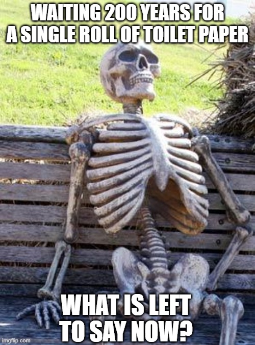 Waiting Skeleton | WAITING 200 YEARS FOR A SINGLE ROLL OF TOILET PAPER; WHAT IS LEFT TO SAY NOW? | image tagged in memes,waiting skeleton | made w/ Imgflip meme maker
