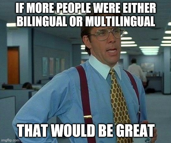 Trust Me, It's A Useful Skill | IF MORE PEOPLE WERE EITHER BILINGUAL OR MULTILINGUAL; THAT WOULD BE GREAT | image tagged in memes,that would be great | made w/ Imgflip meme maker