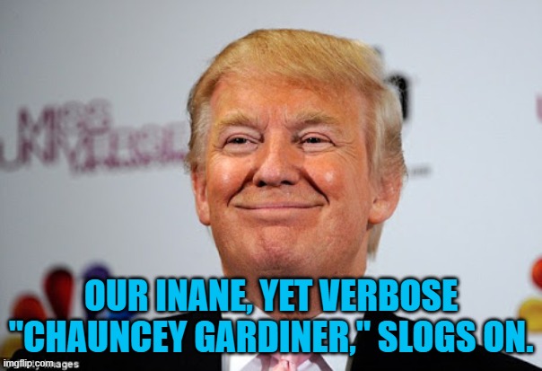 Donald trump approves | OUR INANE, YET VERBOSE "CHAUNCEY GARDINER," SLOGS ON. | image tagged in donald trump approves | made w/ Imgflip meme maker