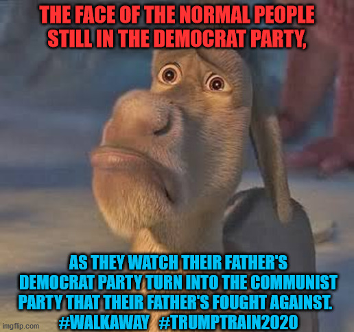 Democrat tears | THE FACE OF THE NORMAL PEOPLE STILL IN THE DEMOCRAT PARTY, AS THEY WATCH THEIR FATHER'S DEMOCRAT PARTY TURN INTO THE COMMUNIST PARTY THAT THEIR FATHER'S FOUGHT AGAINST.  
#WALKAWAY   #TRUMPTRAIN2020 | image tagged in democrat tears | made w/ Imgflip meme maker