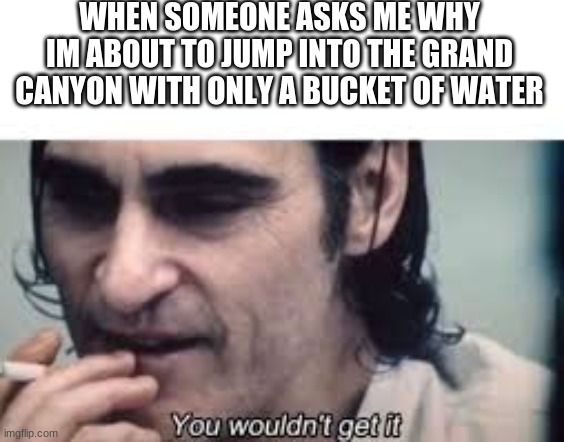 You wouldn't get it (spacing) | WHEN SOMEONE ASKS ME WHY IM ABOUT TO JUMP INTO THE GRAND CANYON WITH ONLY A BUCKET OF WATER | image tagged in you wouldn't get it spacing | made w/ Imgflip meme maker