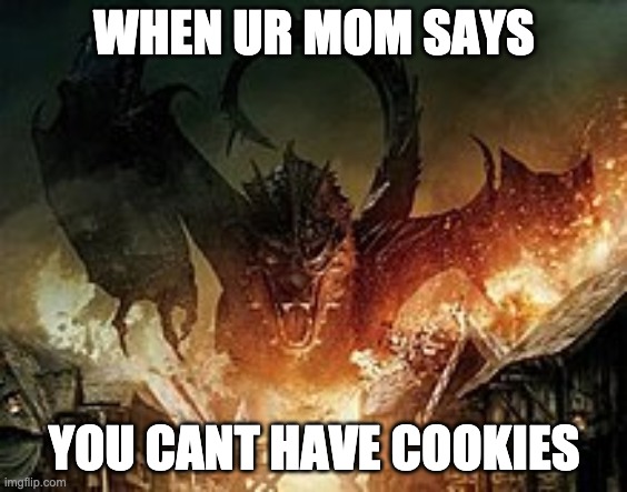 WHEN UR MOM SAYS; YOU CANT HAVE COOKIES | image tagged in dragon | made w/ Imgflip meme maker