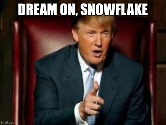 Donald Trump | DREAM ON, SNOWFLAKE | image tagged in donald trump | made w/ Imgflip meme maker