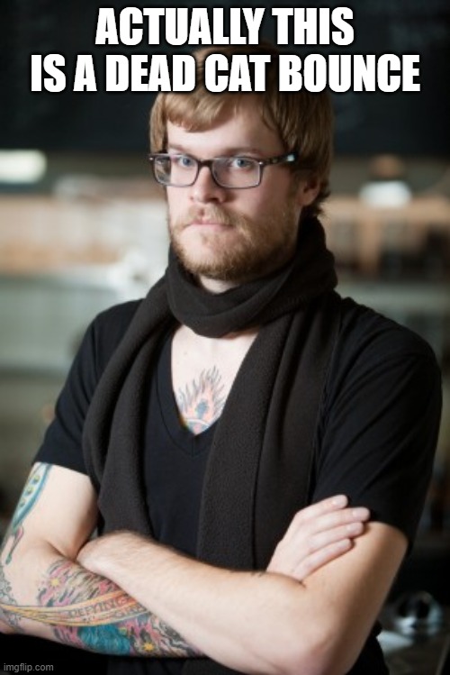 Hipster Barista Meme | ACTUALLY THIS IS A DEAD CAT BOUNCE | image tagged in memes,hipster barista | made w/ Imgflip meme maker