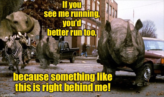 True dat | If you see me running, you’d better run too, because something like this is right behind me! | image tagged in jumanji,running,chased | made w/ Imgflip meme maker