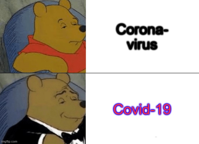 Tuxedo Winnie The Pooh | Corona- virus; Covid-19 | image tagged in memes,tuxedo winnie the pooh | made w/ Imgflip meme maker