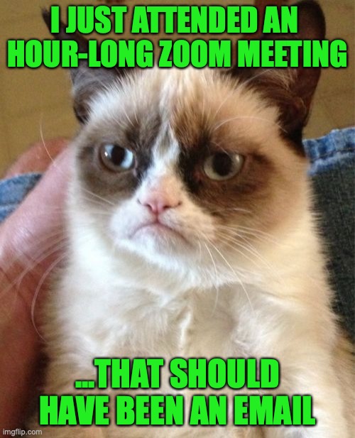 Grumpy Cat Meme | I JUST ATTENDED AN 
HOUR-LONG ZOOM MEETING; ...THAT SHOULD HAVE BEEN AN EMAIL | image tagged in memes,grumpy cat | made w/ Imgflip meme maker