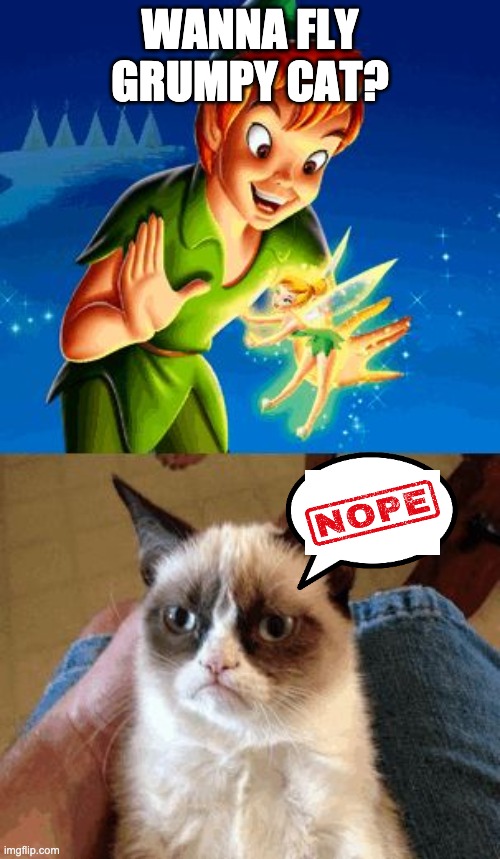 Grumpy Cat Does Not Believe Meme | WANNA FLY GRUMPY CAT? | image tagged in memes,grumpy cat does not believe,grumpy cat | made w/ Imgflip meme maker