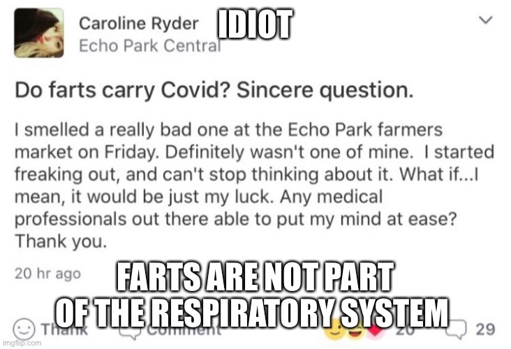 IDIOT; FARTS ARE NOT PART OF THE RESPIRATORY SYSTEM | image tagged in funny,idiot,coronavirus | made w/ Imgflip meme maker