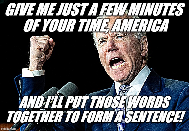 Joe Biden seems to be more than just tired, old, or distracted. | GIVE ME JUST A FEW MINUTES 
OF YOUR TIME, AMERICA; AND I'LL PUT THOSE WORDS TOGETHER TO FORM A SENTENCE! | image tagged in joe biden,election 2020,sad joe biden,talking,elderly,illness | made w/ Imgflip meme maker