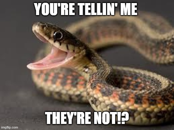 Warning Snake | YOU'RE TELLIN' ME THEY'RE NOT!? | image tagged in warning snake | made w/ Imgflip meme maker